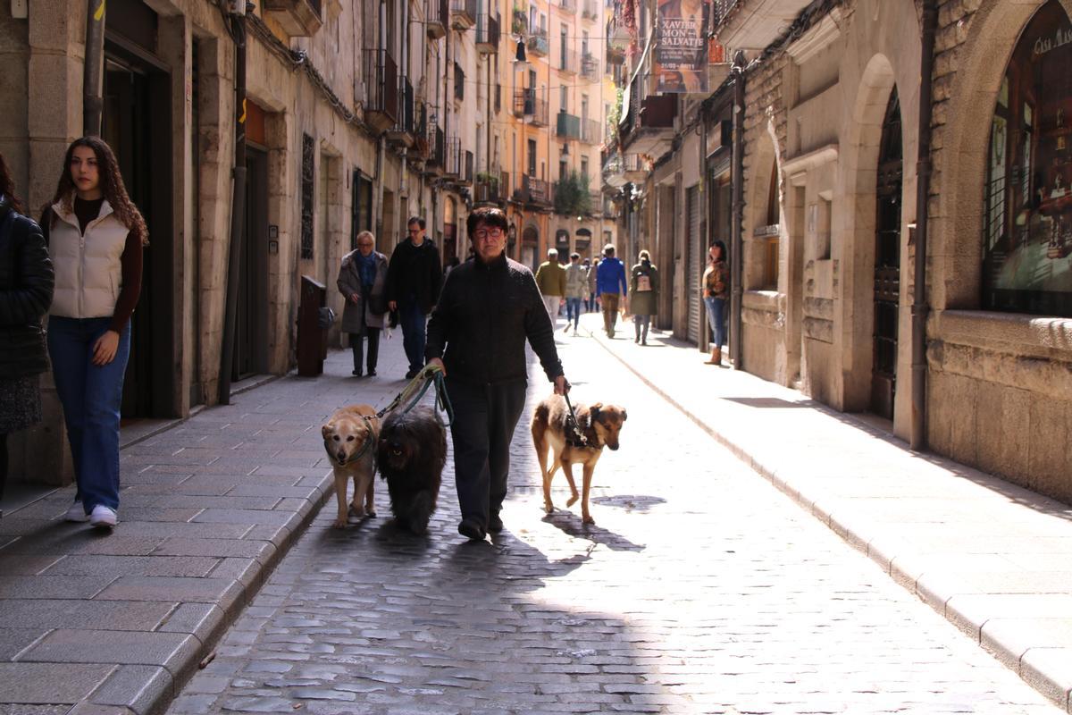 Una dona passejant els seus tres gossos al carrer Ballesteries de Girona