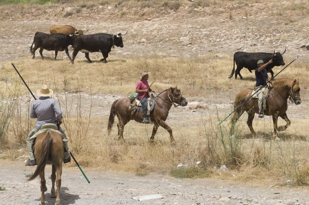 Fiestas de Sagunto. Recinto taurino.