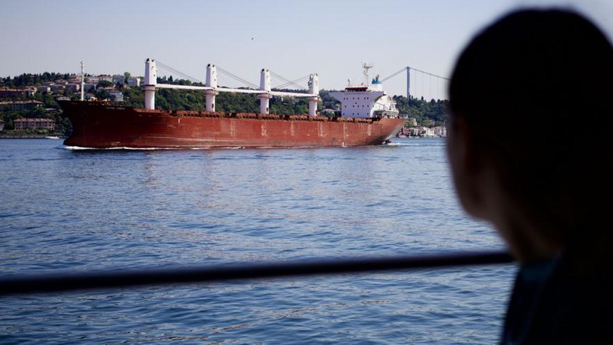 El buque ruso cargado de trigo robado procedente de Crimea.