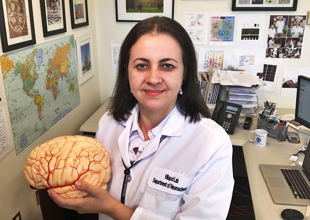 La neurocientíficalucense sostiene unmodelo del cerebro humano