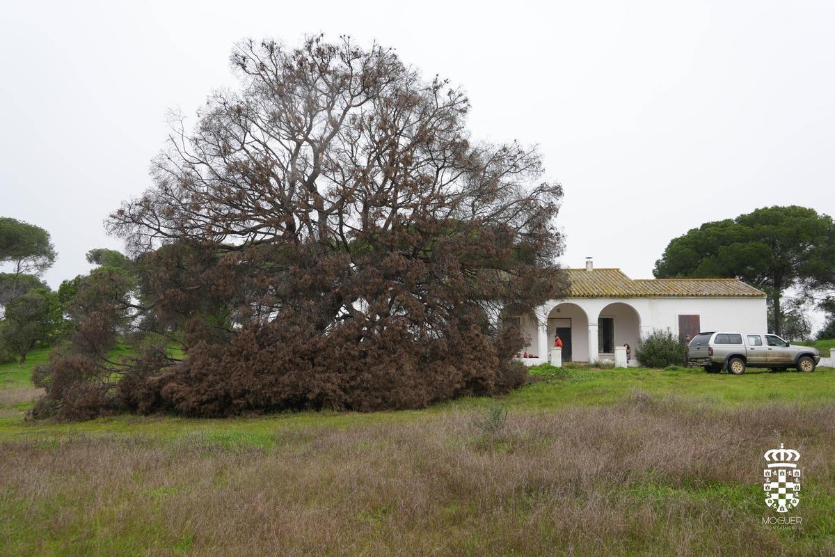 Fuentepiña, finca de veraneo del Premio Nobel Juan Ramón Jiménez