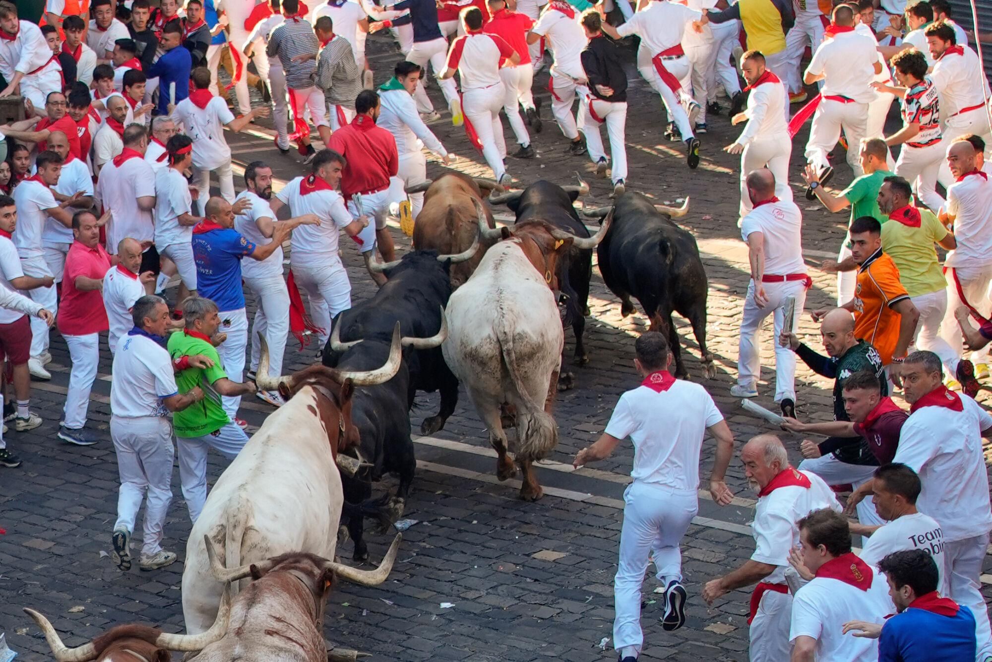 PAMPLONA, 13/07/2025.- Los mozos son perseguidos por toros de la ganadería gaditana de La Palmosilla en el tramo del Ayuntamiento durante el séptimo encierro de los Sanfermines 2025 este domingo en Pamplona. EFE/ Ainhoa Tejerina