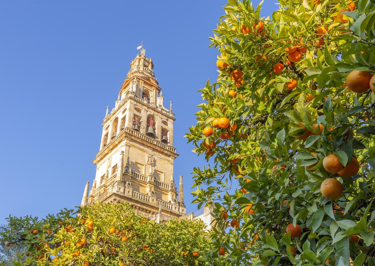 El Patio de los Naranjos con La Giralda de fondo