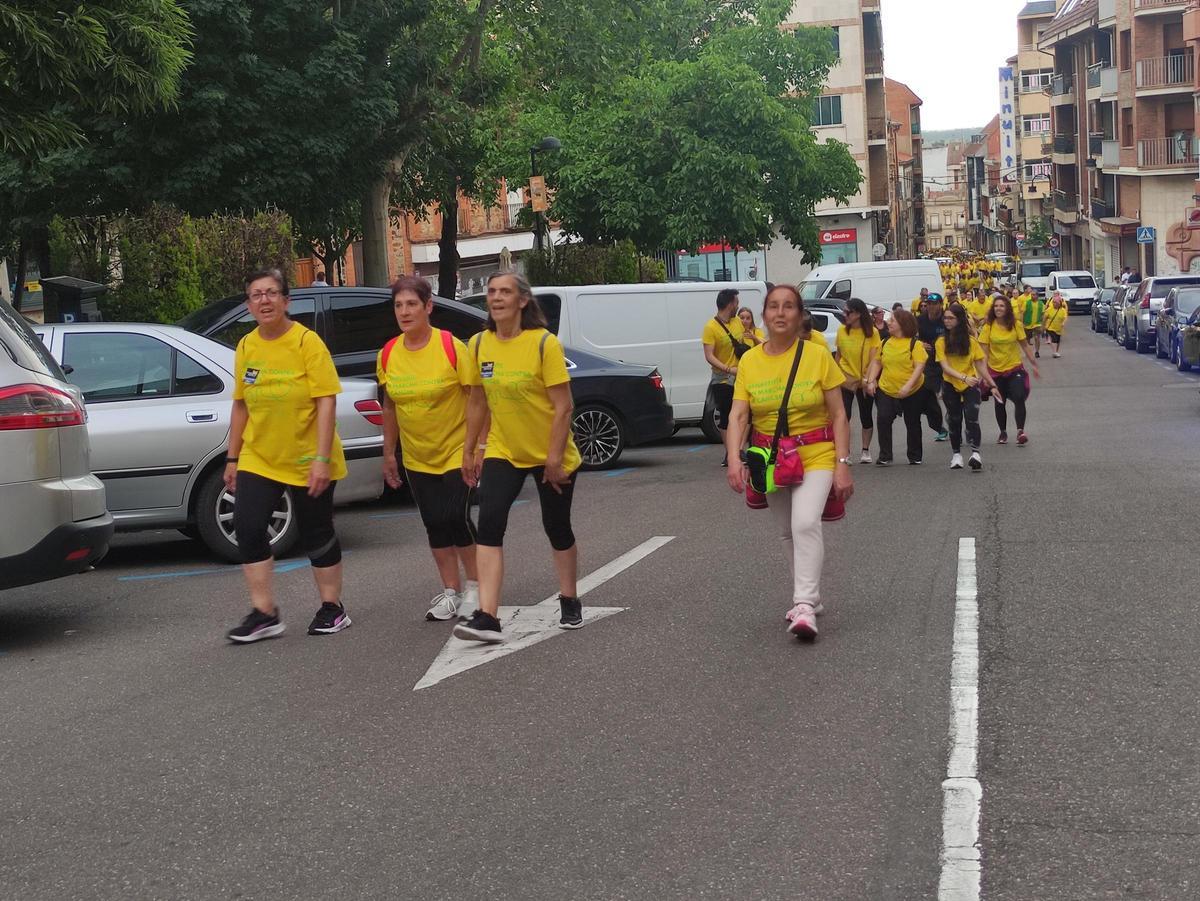 La XI Maroma Solidaria de la AECC de Benavente, en imágenes
