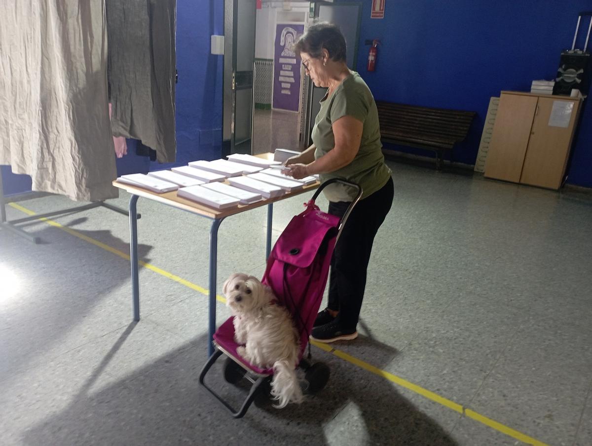 Lola acude a votar con 'Mika', una bichón maltés de 10 años, por eso va sobre el carrito de la compra.