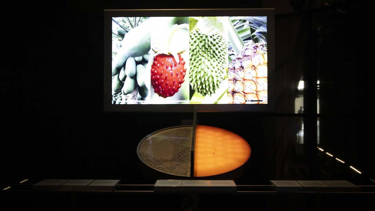 Exposición 'Extraterrestres', en el CosmoCaixa de Barcelona Exposición 'Extraterrestres', en el CosmoCaixa de Barcelona