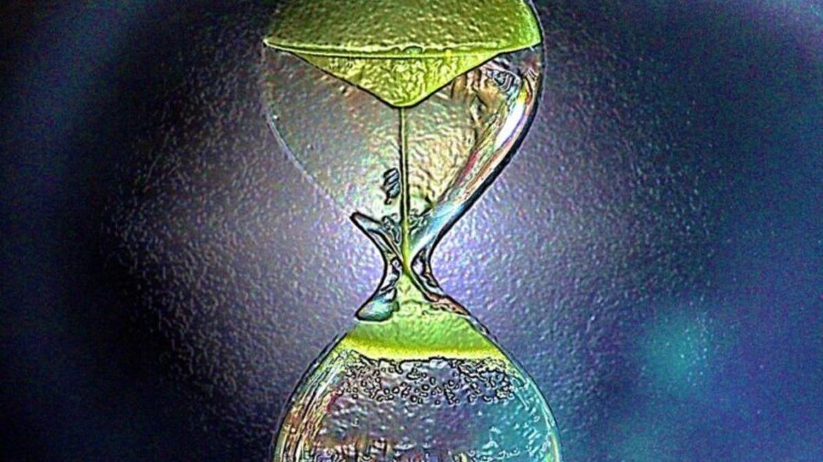 El tiempo se puede revertir en el mundo cuántico