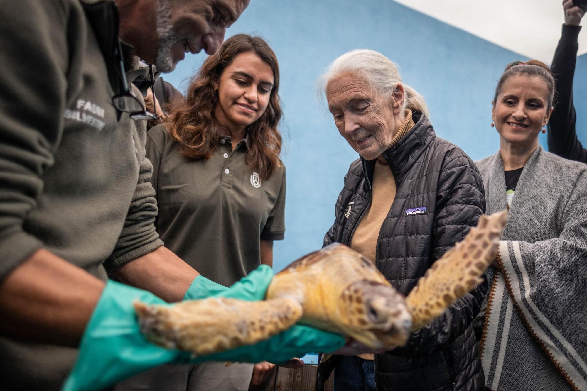 Jane Goodall visita distintos lugares en Tenerife