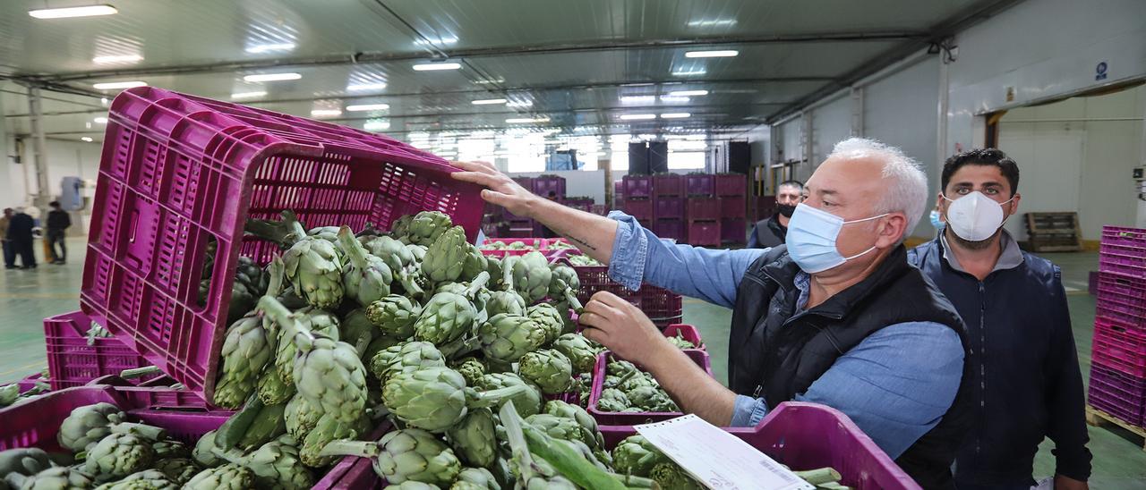 Los productos alimentarios han tenido un buen comportamiento