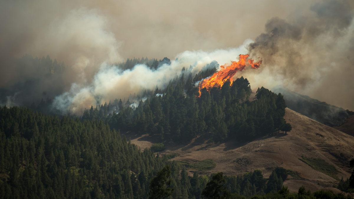 El incendio de Gran Canaria, 'imparable', quema 3.400 hectáreas