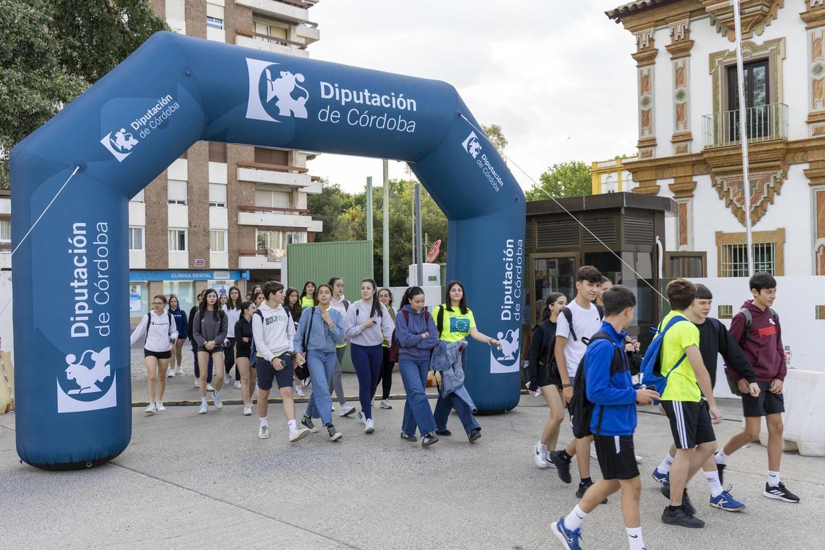 Parte del programa, en la Diputación.
