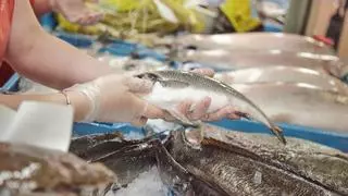 Alerta alimentaria: retiran este conocido pescado infectado con anisakis