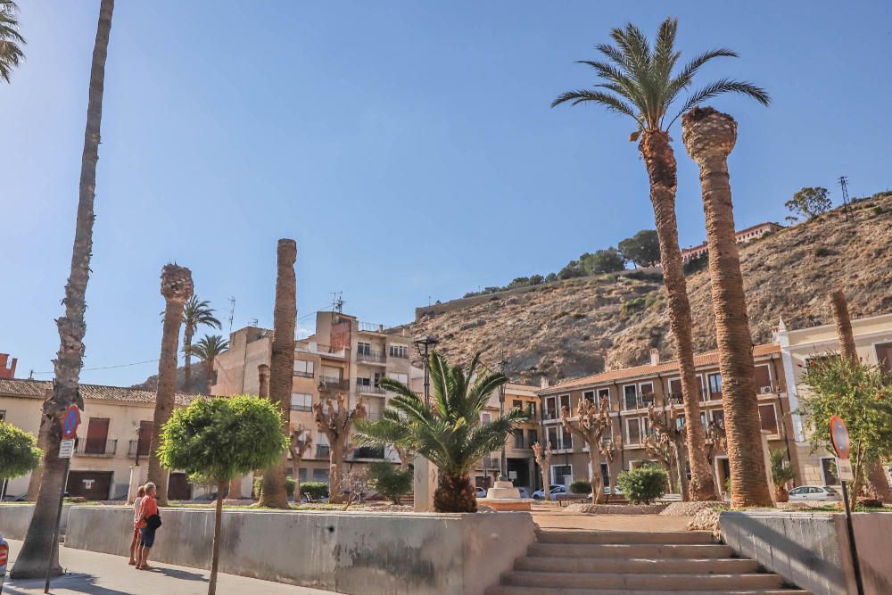 El área de Infraestructuras del Ayuntamiento de Orihuela retira desde hoy 23 troncos y tocones de las palmeras de la plaza de Santa Lucía. Un auténtico "monumento al picudo" en los últimos meses. Toda