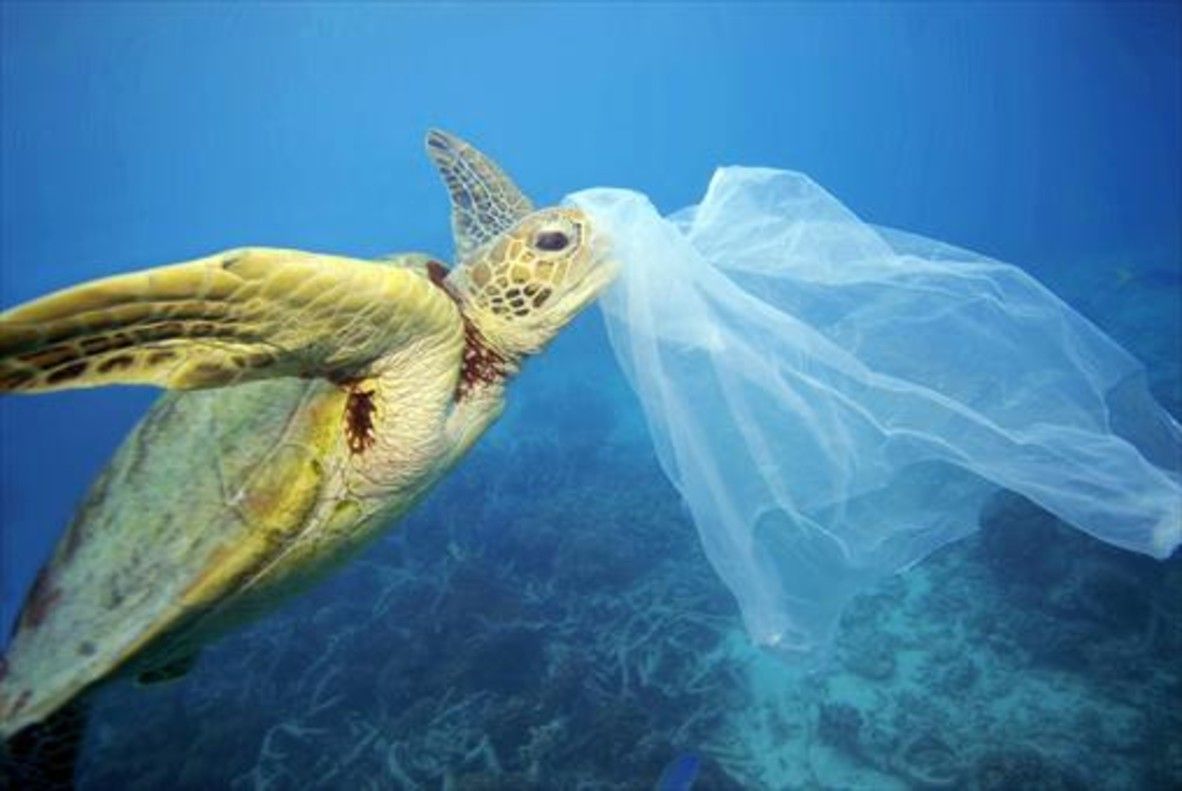 La presencia de plásticos en los océanos es una de las grandes amenazas que afectan a la salud de los ecosistemas marinos.