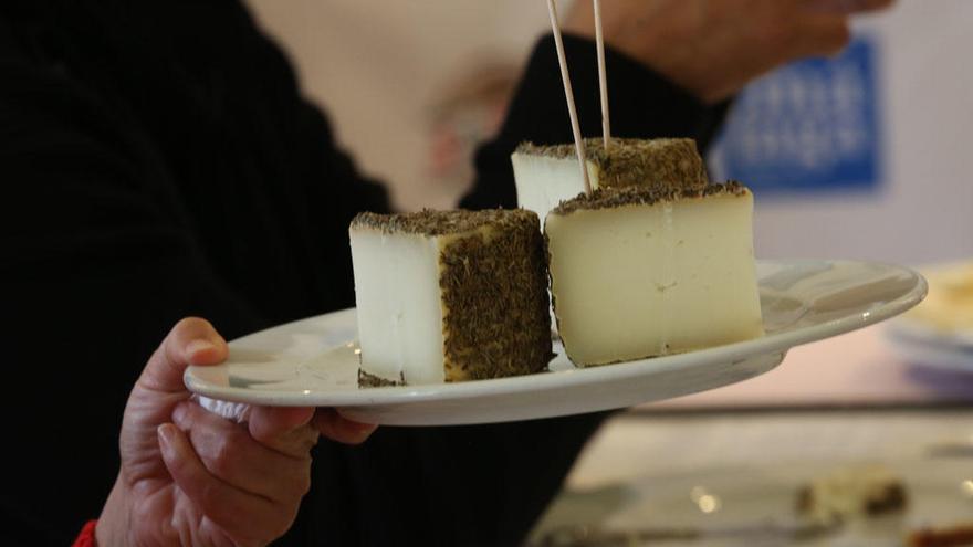 Un momento del concurso de quesos de Sabor a Málaga.