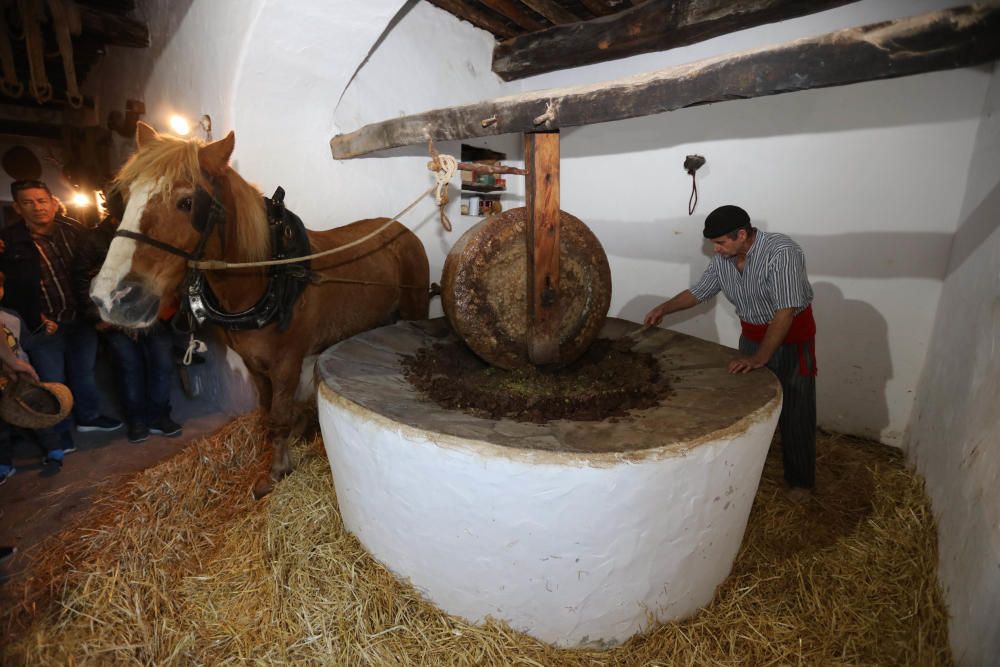 Proceso antiguo de producción de aceite