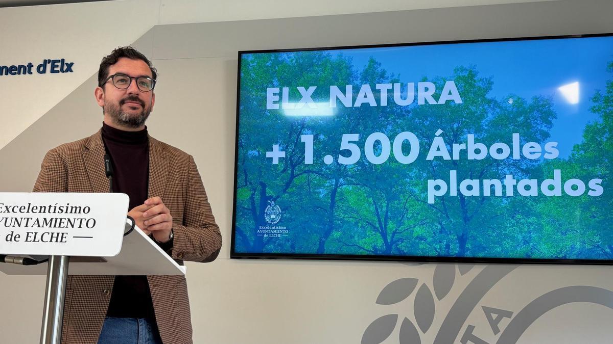 El Ayuntamiento plantará 200 nuevos árboles en Carrús dentro del Plan Elx Natura