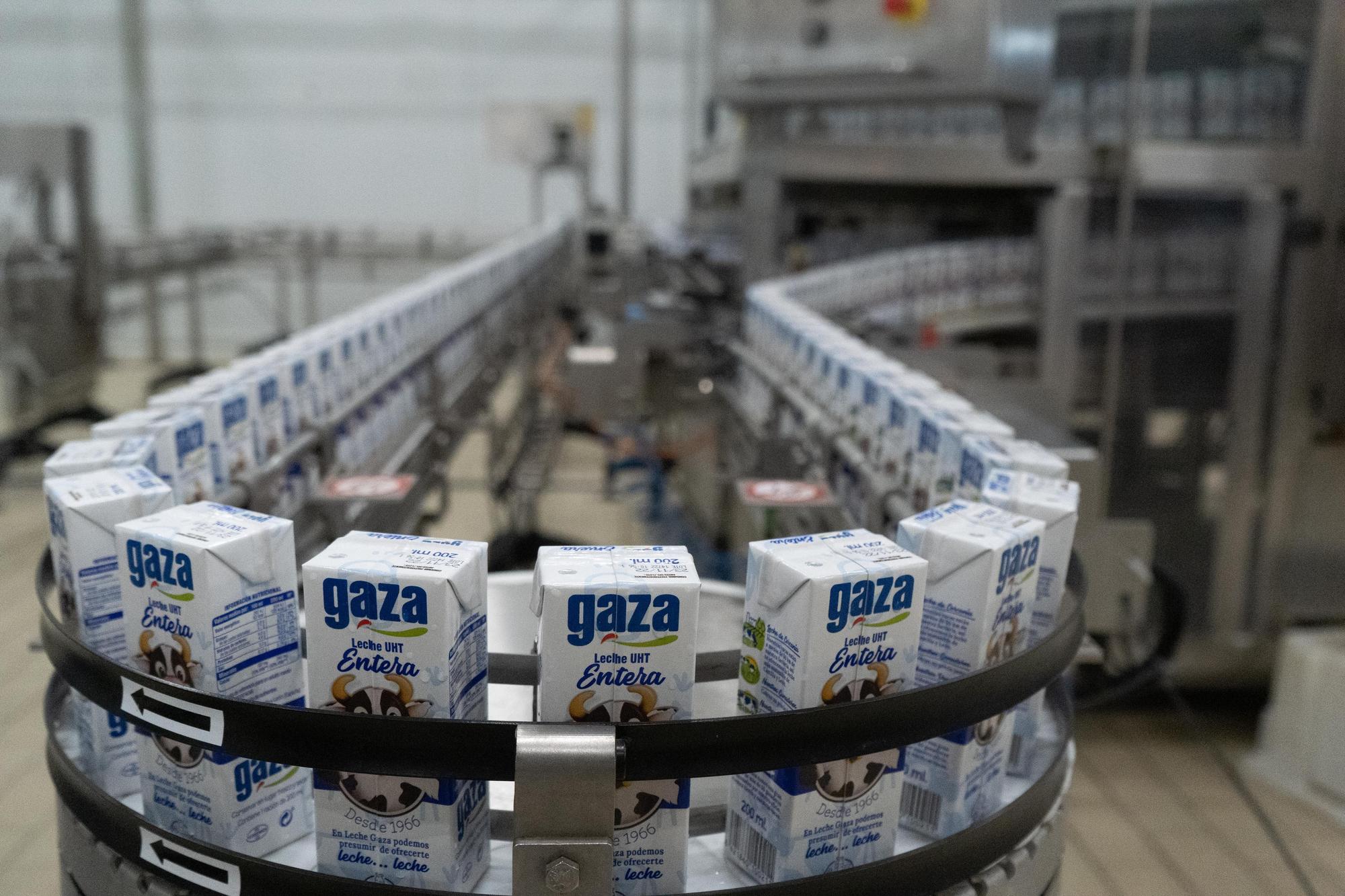 GALERÍA | Así es la nueva fábrica de Leche Gaza en Coreses