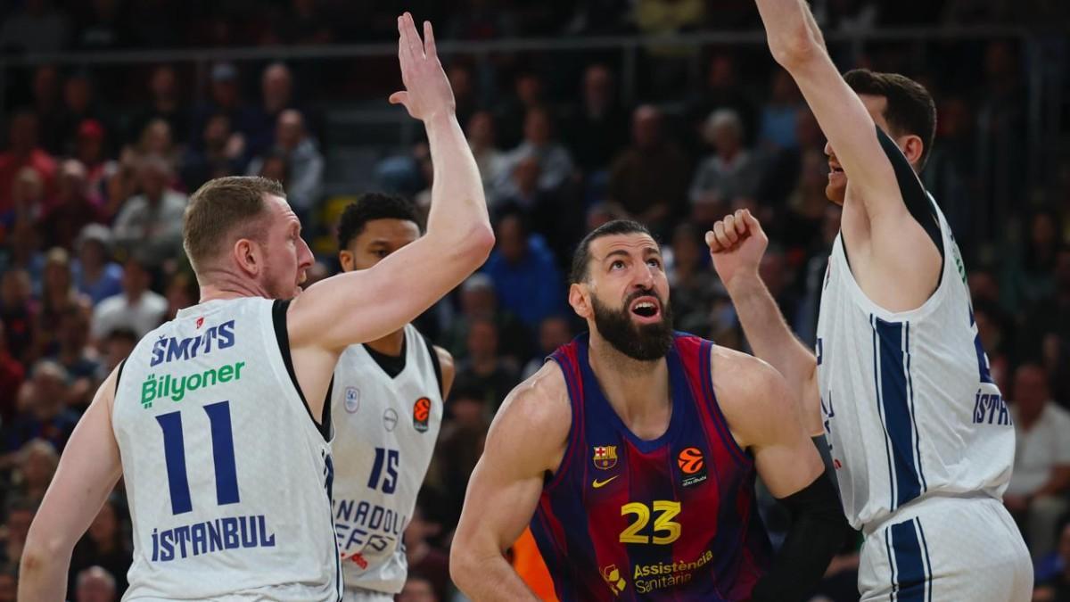 Tornike Shengelia, ante Anadolu Efes