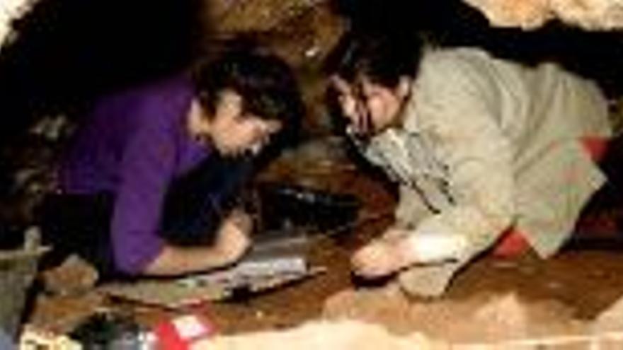 Varios expertos de Atapuerca dedicarán años a Maltravieso