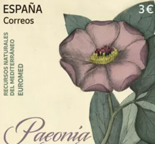 Ponen en circulación un sello dedicado  a la Peonia balear