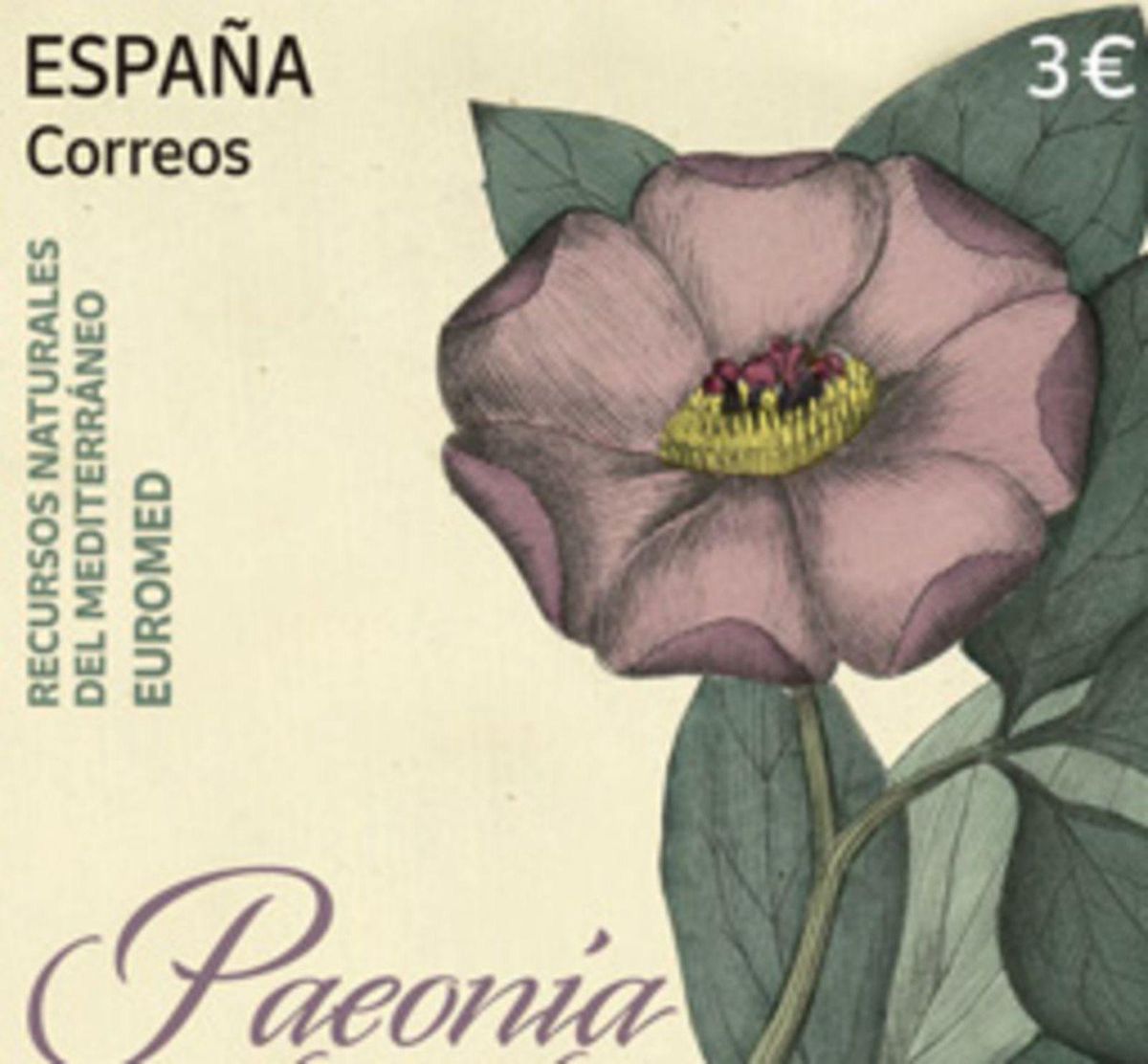 Ponen en circulación un sello dedicado  a la Peonia balear
