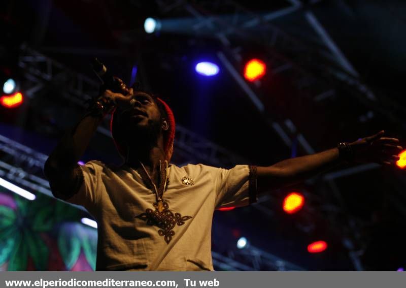 GALERÍA DE FOTOS- Cuarta Jornada del Rototom 2014