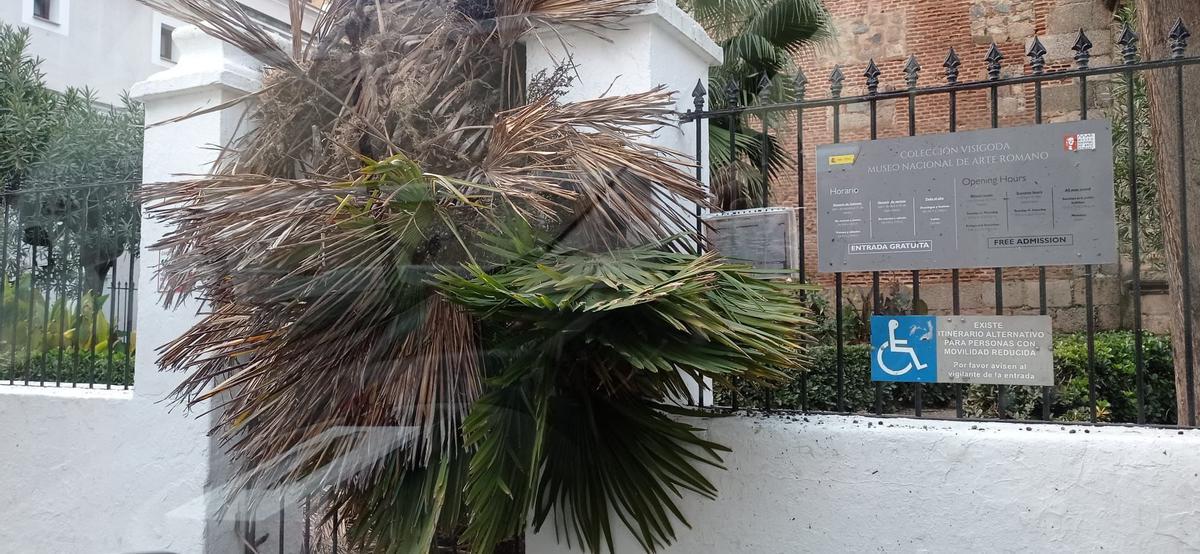 Daños causados por el vendaval.