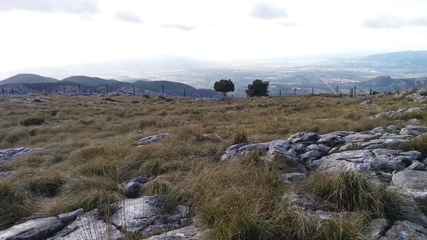 Terreno donde se han paralizado las obras de construcciÃ³n de un camino y una vivienda unifamiliar.