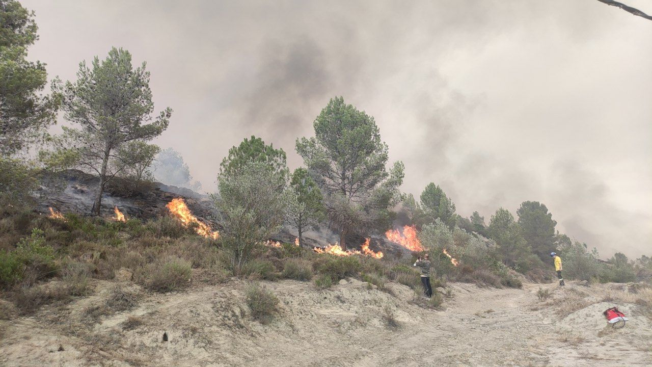 Primera línia del foc del Pont de Vilomara