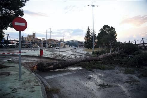 Efectos del viento huracanado en Zaragoza