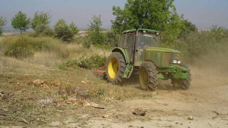 Desbroce de una finca en el municipio de Trabazos.