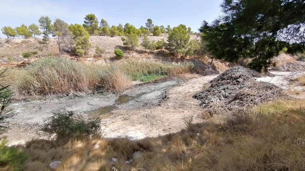 Lodos depositados en los laterales de la rambla de Charco Amargo.