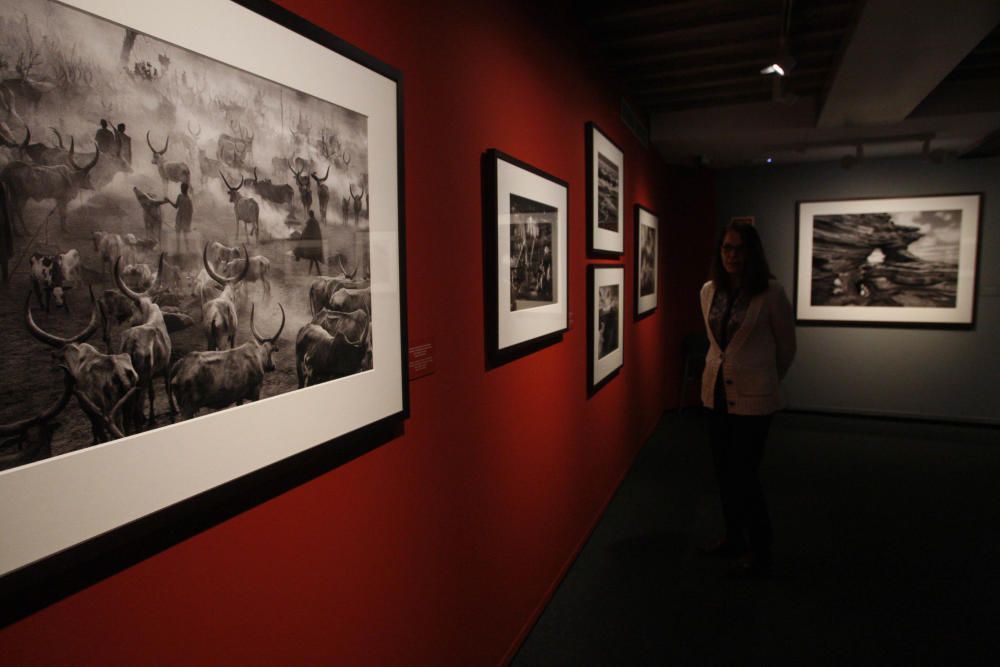 Exposició «Gènesi» de Sebastião Salgado