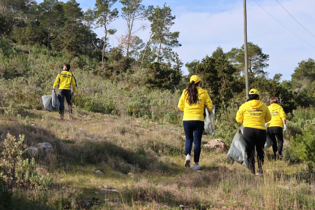 La XVII Jornada de Limpieza en Sa Talaia concluye con la recogida de 400 kilos de residuos La XVII Jornada de Limpieza en Sa Talaia concluye con la recogida de 400 kilos de residuos