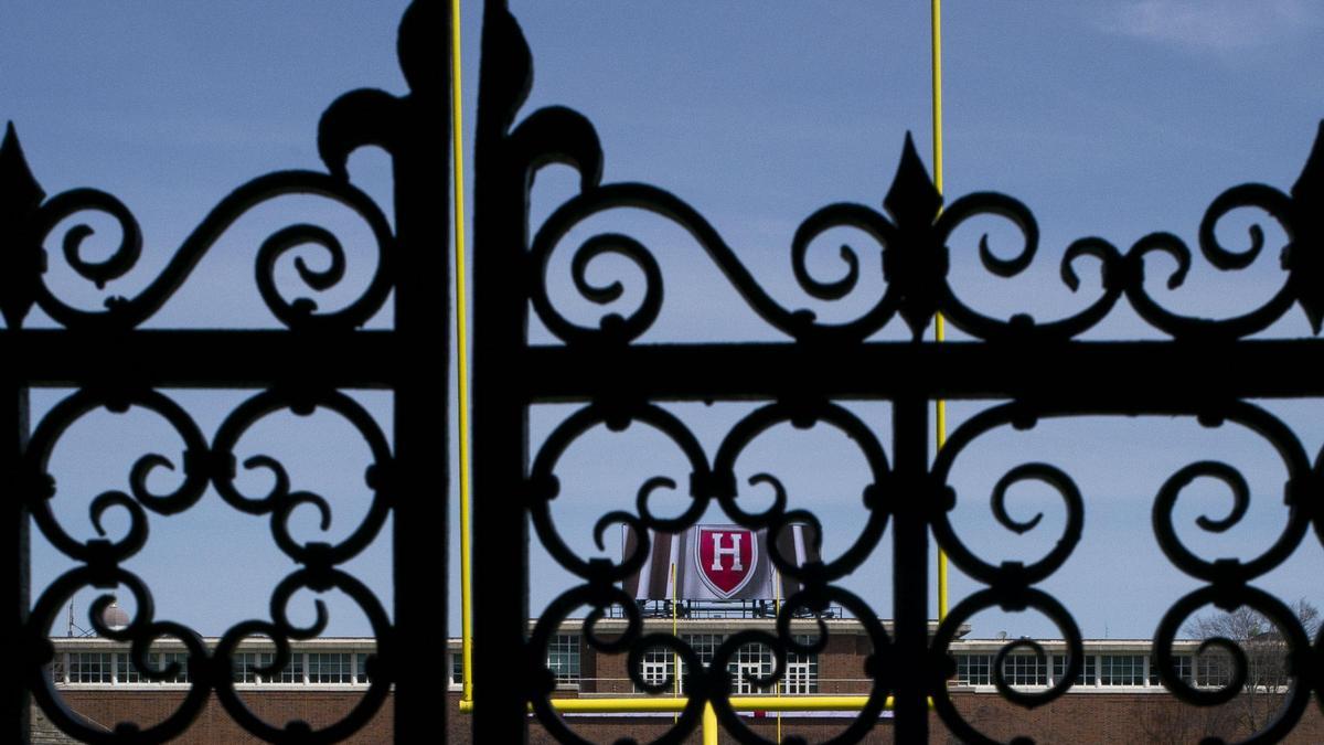 Australia pide detalles a EE.UU. del veto a Harvard a estudiantes extranjeros