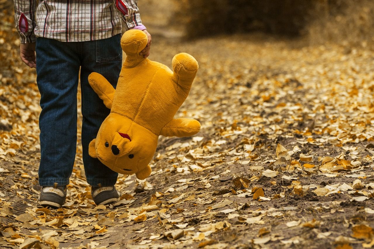 Un niño sujeta un peluche.