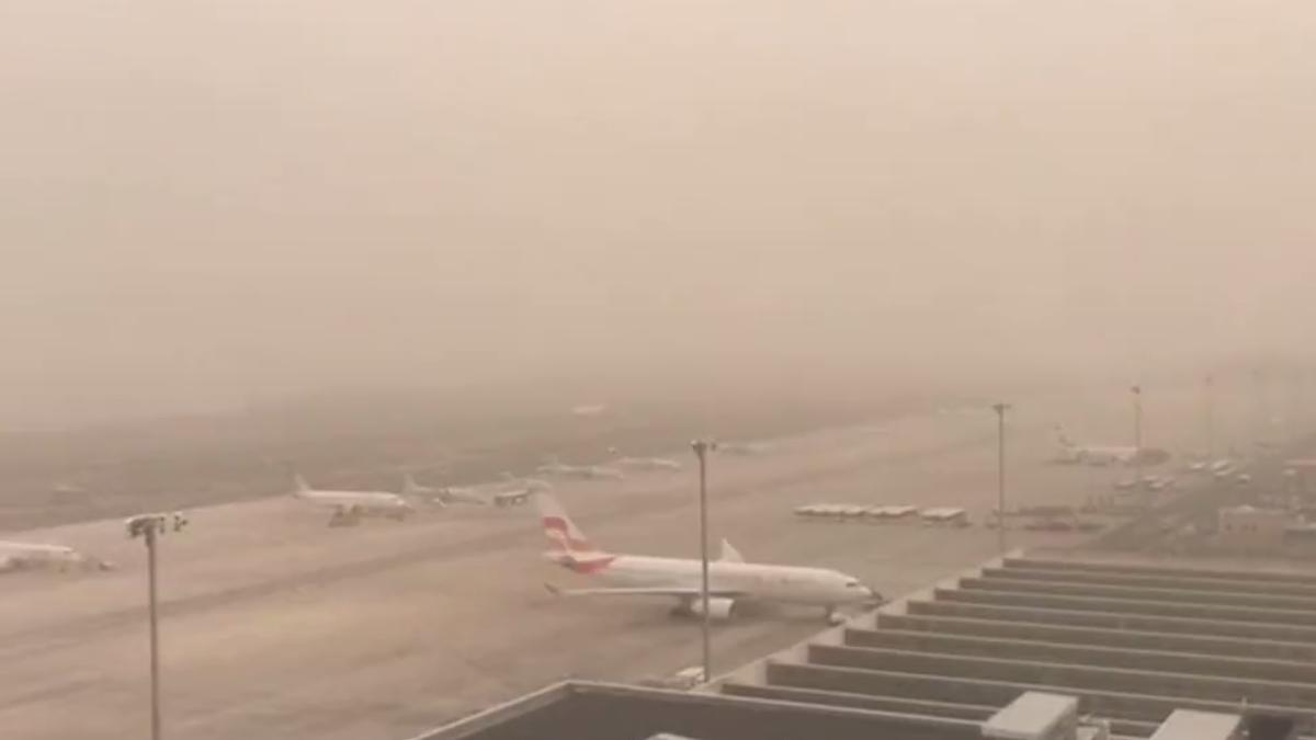 Así vive el aeropuerto de Gran Canaria el episodio de calima