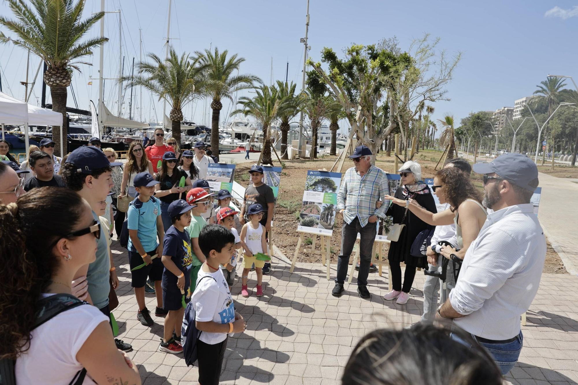 Verde para el nuevo Paseo Marítimo de Palma: pala y rastrillo para que los vecinos planten árboles
