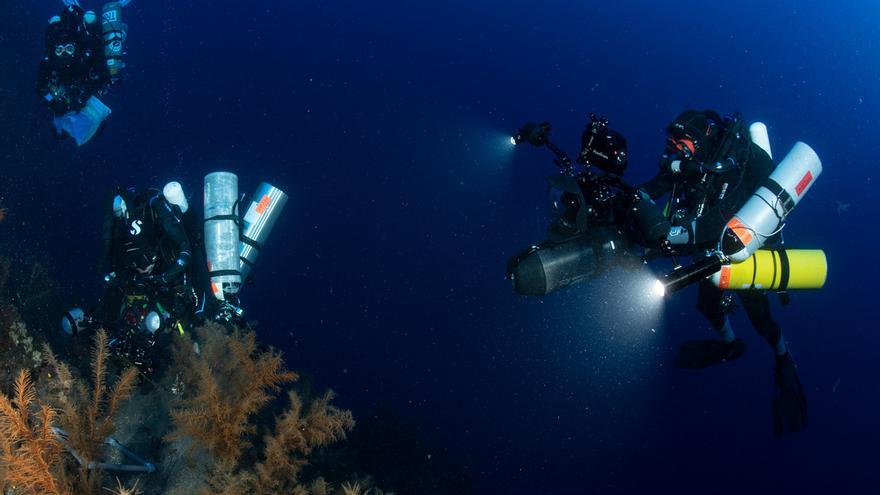 Madrid is returning marine sciences to the island to strengthen its overall project of the state