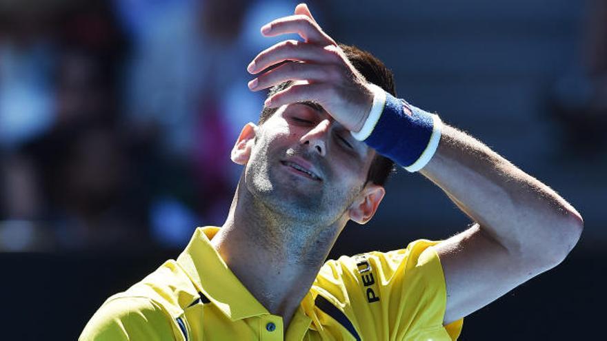 Djokovic sufre, Federer disfruta y Serena se cita con Sharapova