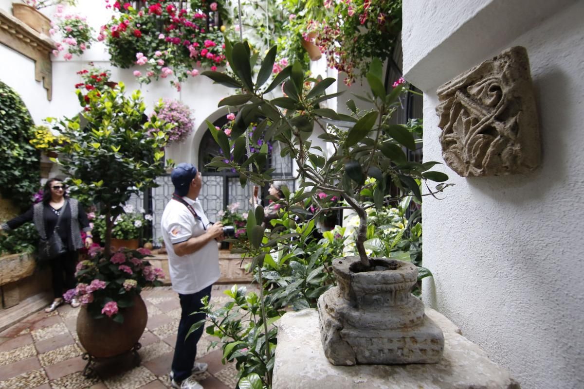 Paseando por el Alcázar Viejo