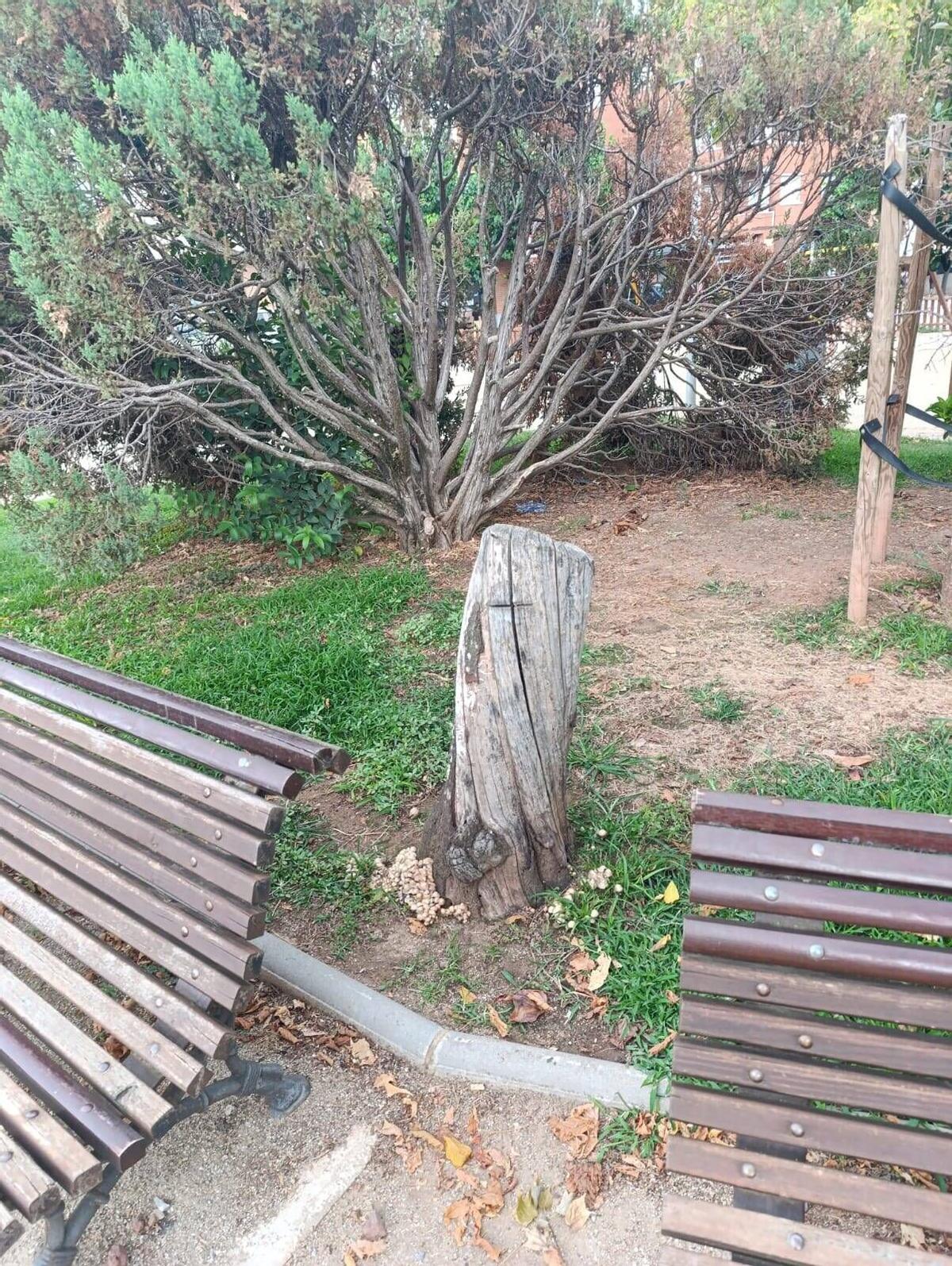 La plaça de la Pau, a Santpedor, amb pocs espais d'ombra