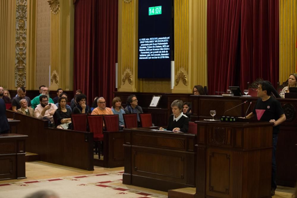 Pleno del Parlament