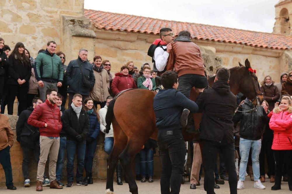 Carrera de gallos de San Miguel de la Ribera