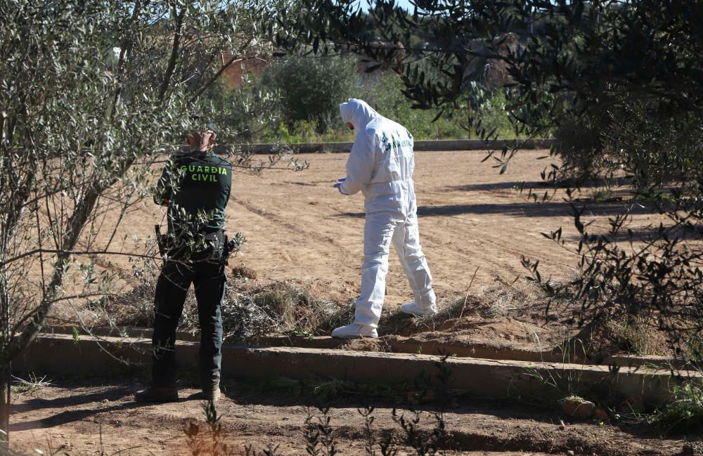 La Policía Científica analiza la caseta donde vivían los niños y el terreno donde estaban enterrados.