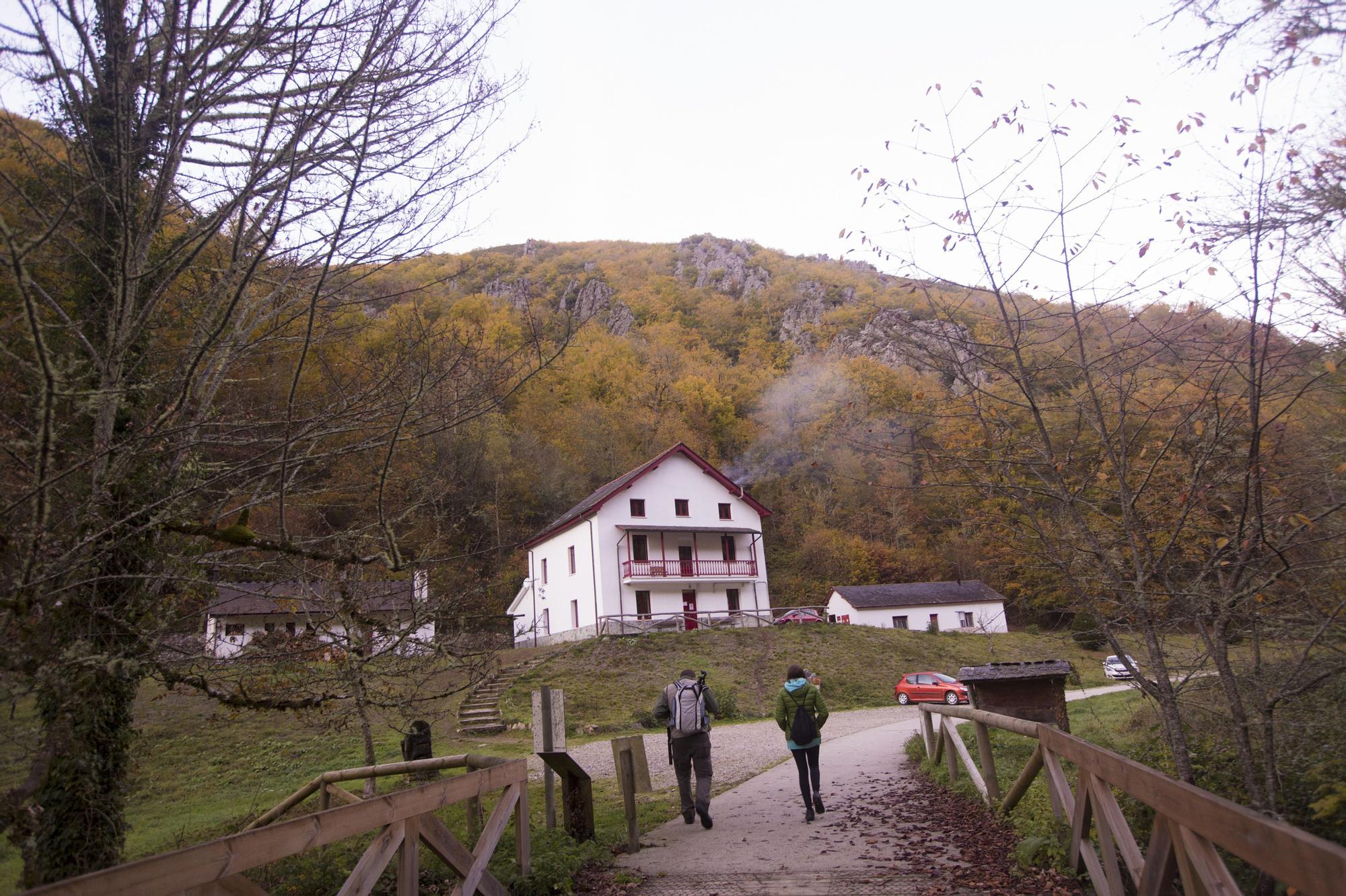 Las 100 fotos que demuestran que el otoño es la mejor época para conocer Asturias