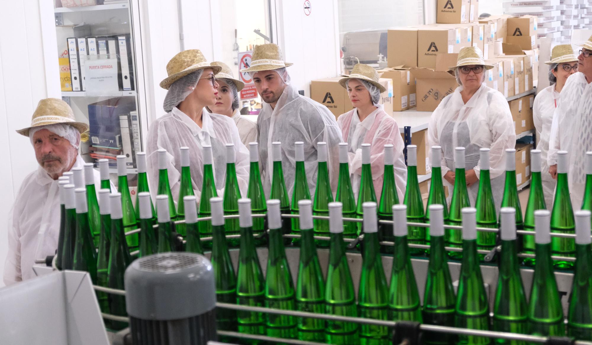 Así ha sido la jornada de puertas abiertas de Bodegas Bocopa