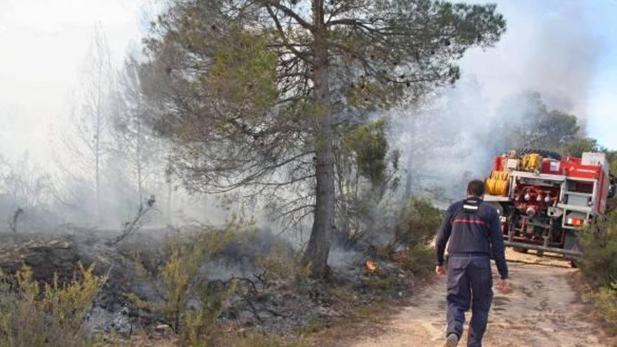 Las llamas vuelven a castigar el alto palancia