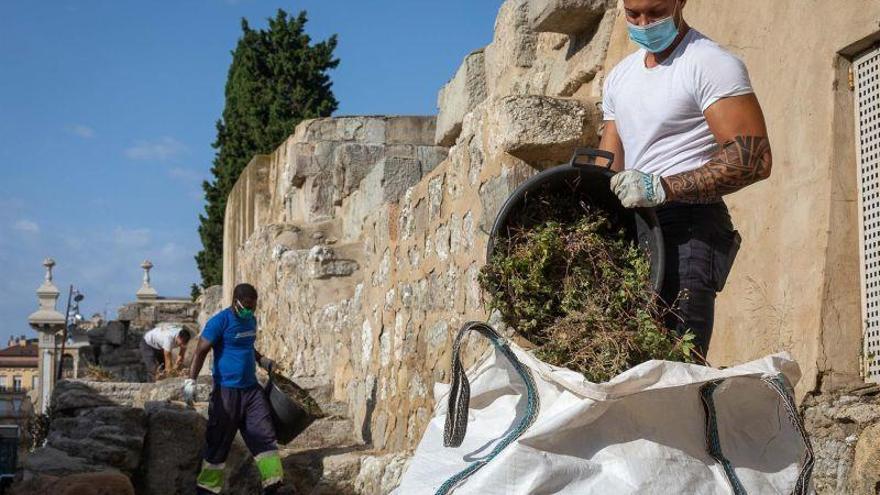 Las labores de limpieza de la muralla romana de Zaragoza se llevan a cabo esta semana